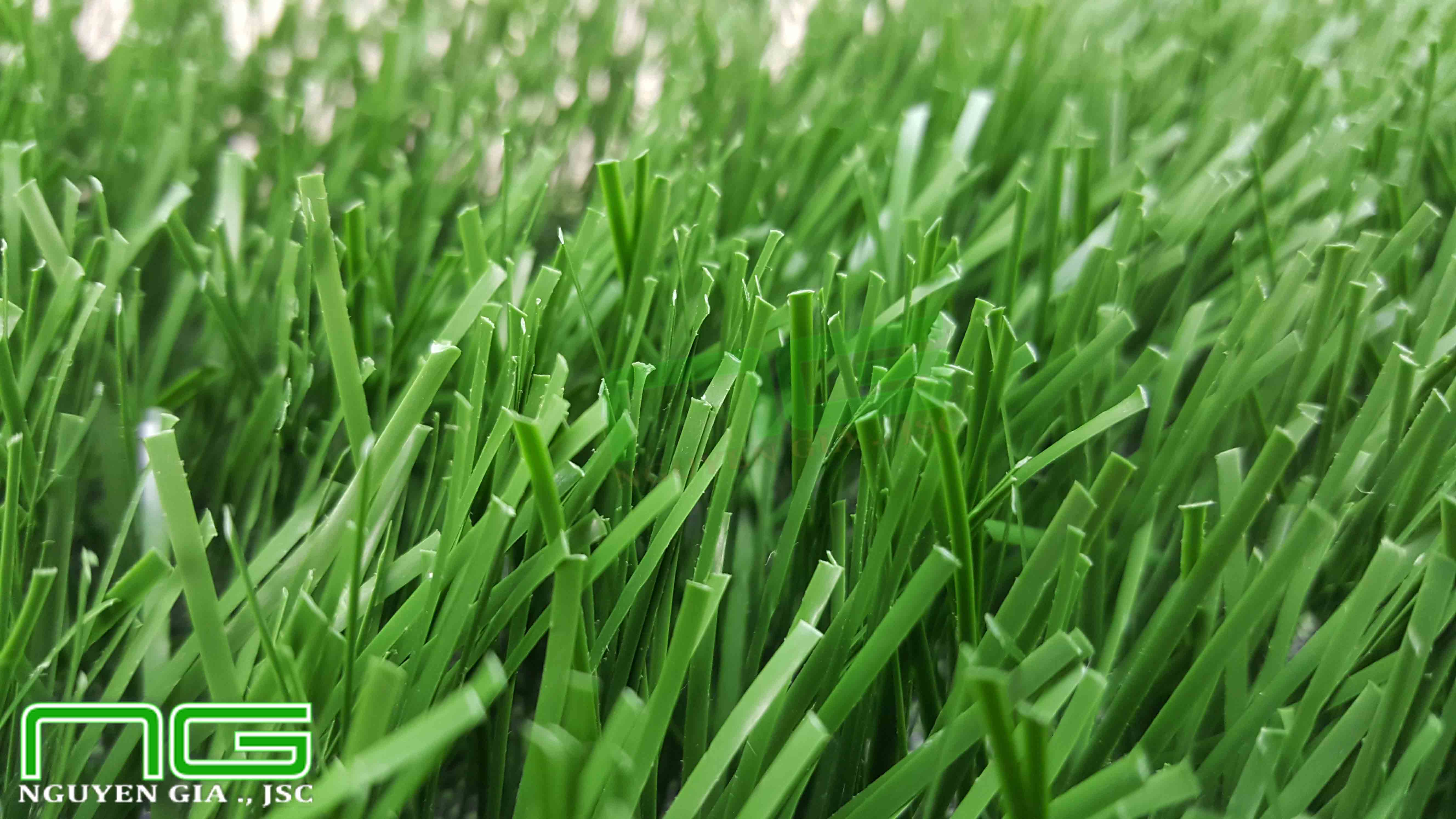 Mặt thảm cỏ nhân tạo sân bóng đá Nguyễn Gia NGF14