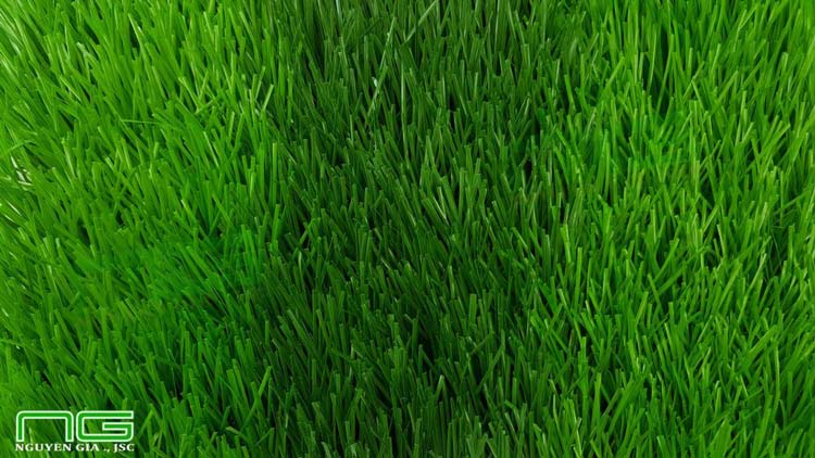 cỏ nhân tạo sân bóng NGF16