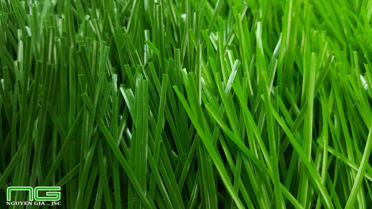 Mặt cỏ nhân tạo tạo sân bóng NGF16