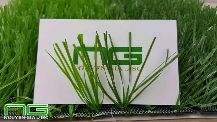 Cấu tạo cụm cỏ nhân tạo sân bóng NGF15